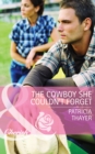 The Cowboy She Couldn't Forget - eBook