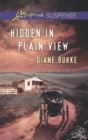 Hidden in Plain View - eBook