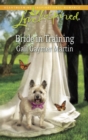 Bride In Training - eBook