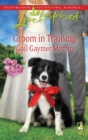 Groom In Training - eBook