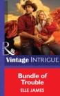 Bundle Of Trouble - eBook