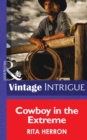 Cowboy in the Extreme - eBook