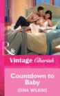 Countdown to Baby - eBook