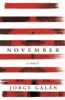 November : A Novel - eBook