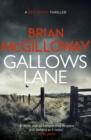 Gallows Lane : An ex con and drug violence collide in the borderlands of Ireland... - eBook