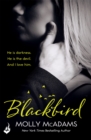 Blackbird : A story of true love against the odds - Book