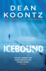 Icebound : A chilling thriller of a race against time - Book