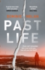 Past Life : an 'astonishing' and 'gripping' crime thriller - eBook