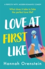 Love at First Like : A wise and witty rom-com of love in the digital age - Book