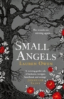 Small Angels : A twisting gothic novel of hauntings, heartbreak and revenge - Book