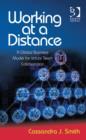 Working at a Distance : A Global Business Model for Virtual Team Collaboration - Book
