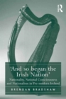 'And so began the Irish Nation' : Nationality, National Consciousness and Nationalism in Pre-modern Ireland - Book