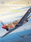 P-40 Warhawk Aces of the MTO - eBook