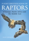 Flight Identification of Raptors of Europe, North Africa and the Middle East - Book