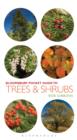 Pocket Guide to Trees and Shrubs - eBook