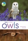 RSPB Spotlight Owls - Book