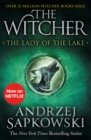The Lady of the Lake : Witcher 5   Now a major Netflix show - eBook