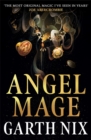 Angel Mage - Book