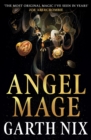 Angel Mage - eBook