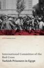 Turkish Prisoners in Egypt (WWI Centenary Series) - Book