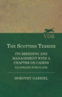 The Scottish Terrier - It's Breeding and Management with a Chapter on Cairns - Illustrated with Plates - Book