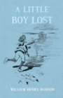 A Little Boy Lost - Book