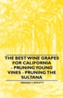 The Best Wine Grapes for California - Pruning Young Vines - Pruning the Sultana - Frederic T. Bioletti