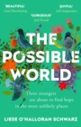 The Possible World - eBook