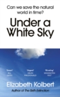 Under a White Sky : The Nature of the Future - eBook