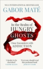 In the Realm of Hungry Ghosts : Close Encounters with Addiction - eBook