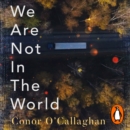 We Are Not in the World : 'compelling and profoundly moving' Irish Times - eAudiobook