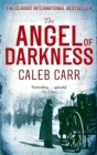The Angel of Darkness : Book 2 - eBook
