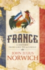France : A History: from Gaul to de Gaulle - eBook