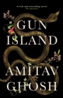 Gun Island : A spellbinding, globe-trotting novel by the bestselling author of the Ibis trilogy - Book