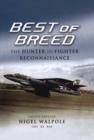 Best of Breed : The Hunter in Fighter Reconnaissance - eBook