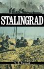 Stalingrad: Anatomy of an Agony - eBook