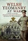 Welsh Yeomanry at War - Book