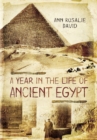 A Year in the Life of Ancient Egypt - eBook
