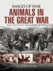 Animals in the Great War - eBook