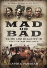 Mad or Bad: Crime and Insanity in Victorian Britain - Book
