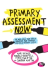 Primary Assessment Now : The why, what and how of formative and summative assessment without levels - Book
