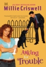 Asking For Trouble - eBook