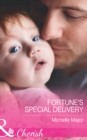 The Fortune's Special Delivery - eBook