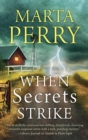 When Secrets Strike - eBook