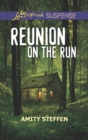 Reunion On The Run - eBook