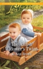 The Amish Widower's Twins - eBook
