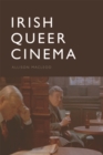 Irish Queer Cinema - eBook