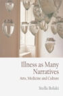 Illness as Many Narratives : Arts, Medicine and Culture - Book