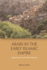 Arabs in the Early Islamic Empire : Exploring Al-Azd Tribal Identity - Book