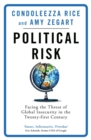 Political Risk : Facing the Threat of Global Insecurity in the Twenty-First Century - Book